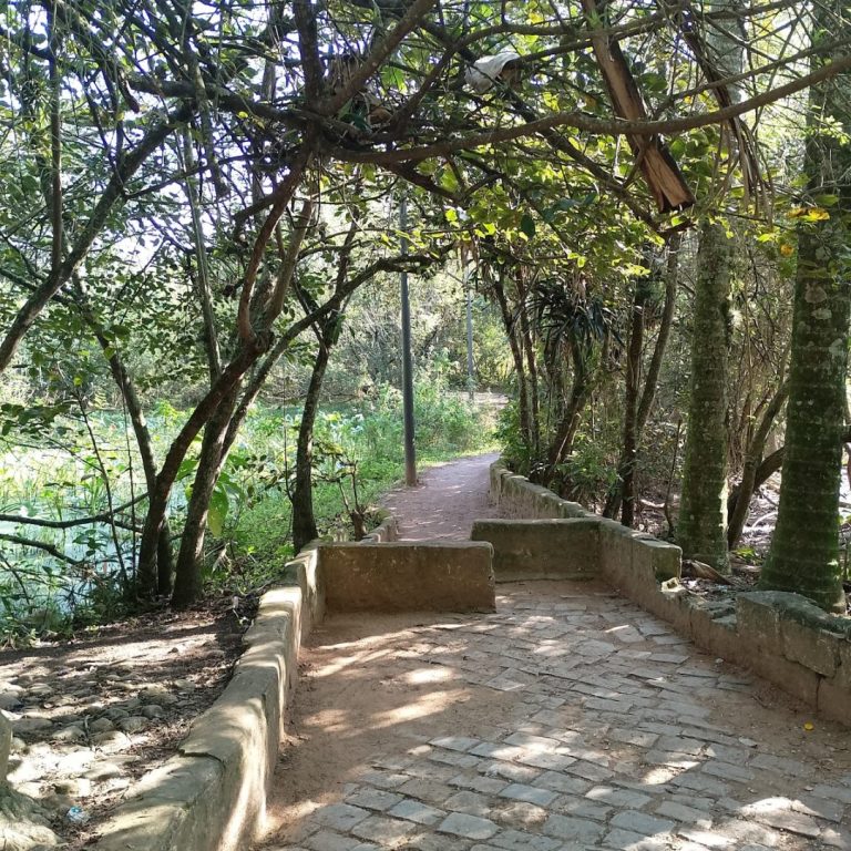 Foto real de Parque Ecológico Alessandro Weiss