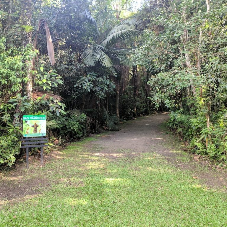 Foto real de Parque Ecológico Raimundo Gonçález Malta