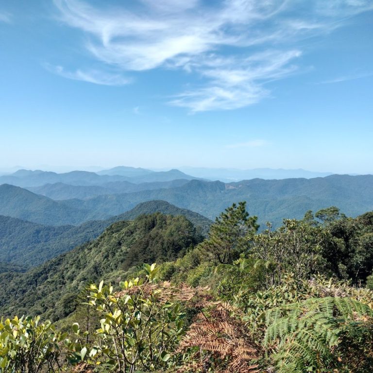 Foto real de Parque Ecológico Spitzkopf