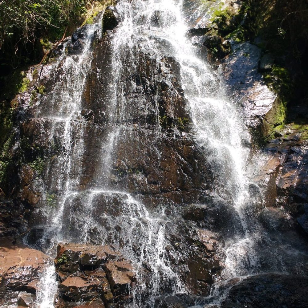 Foto real de Parque Ecológico Spitzkopf