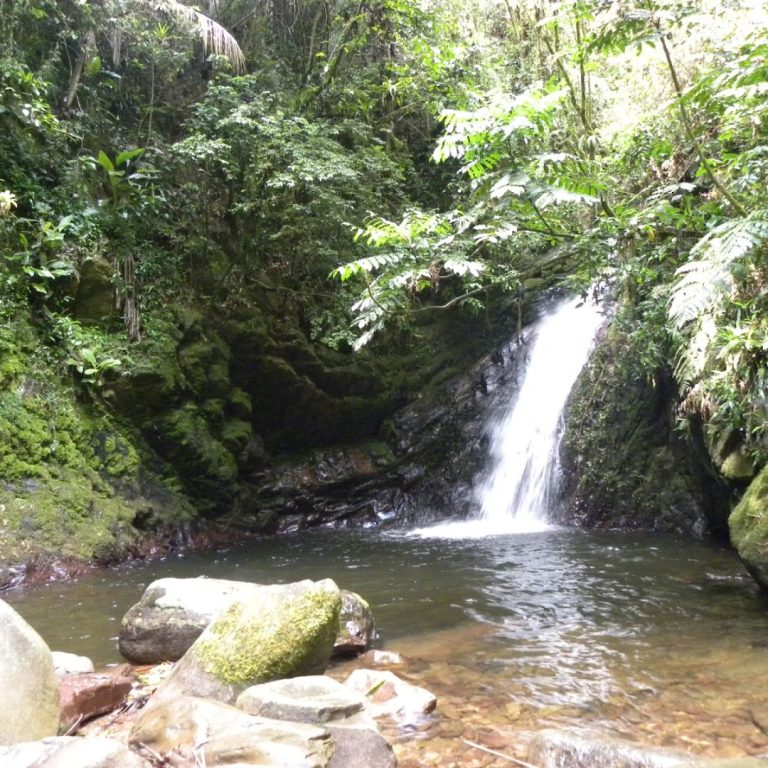Foto real de Parque Ecológico Spitzkopf