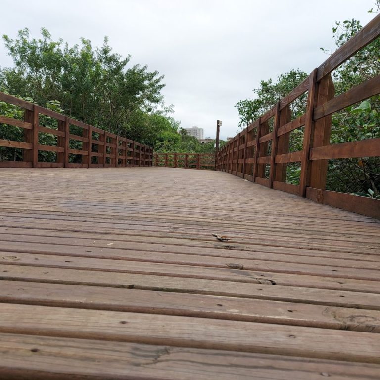 Foto real de Parque Lagoa do Perequê