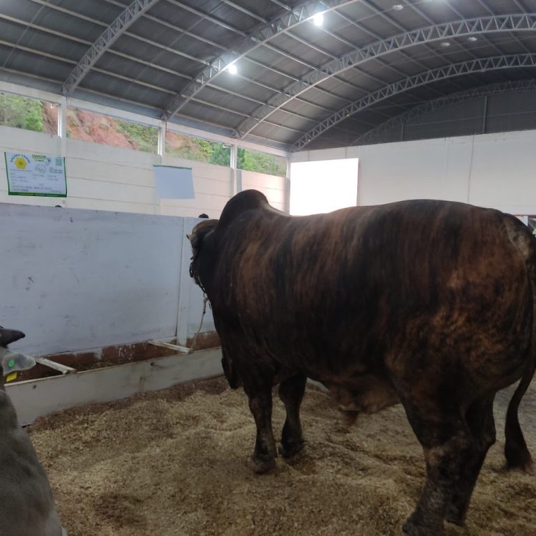Foto real de Parque Muncipal do Agricultor de Itajaí