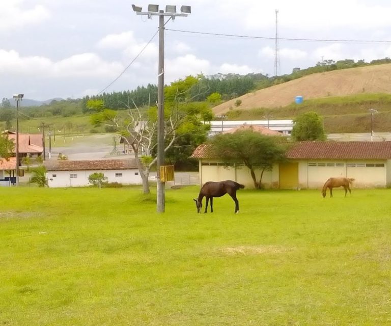 Foto real de Parque Muncipal do Agricultor de Itajaí