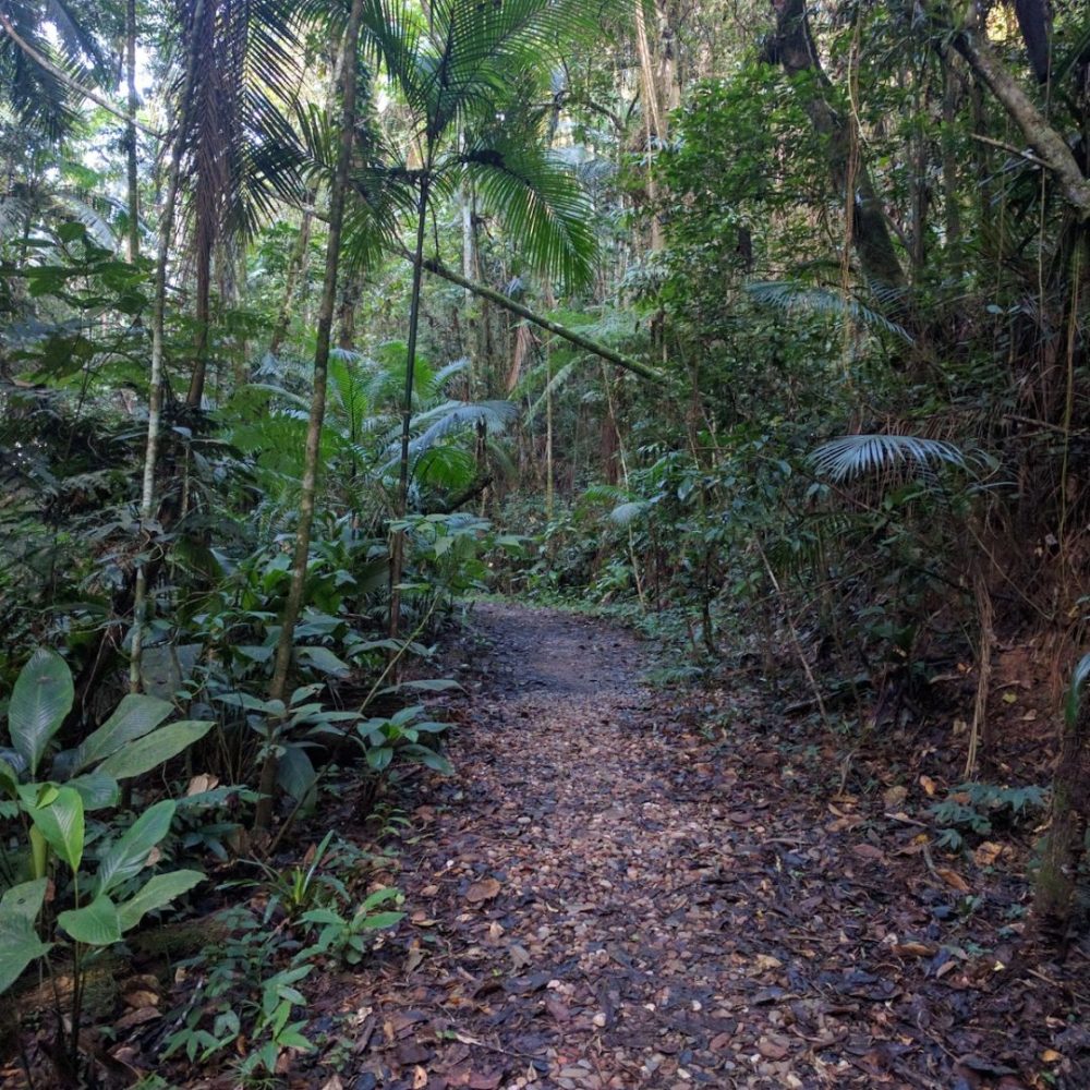Foto real de Parque São Francisco de Assis