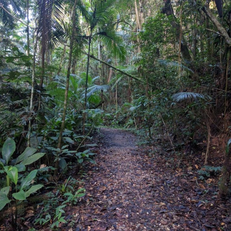 Parque São Francisco de Assis