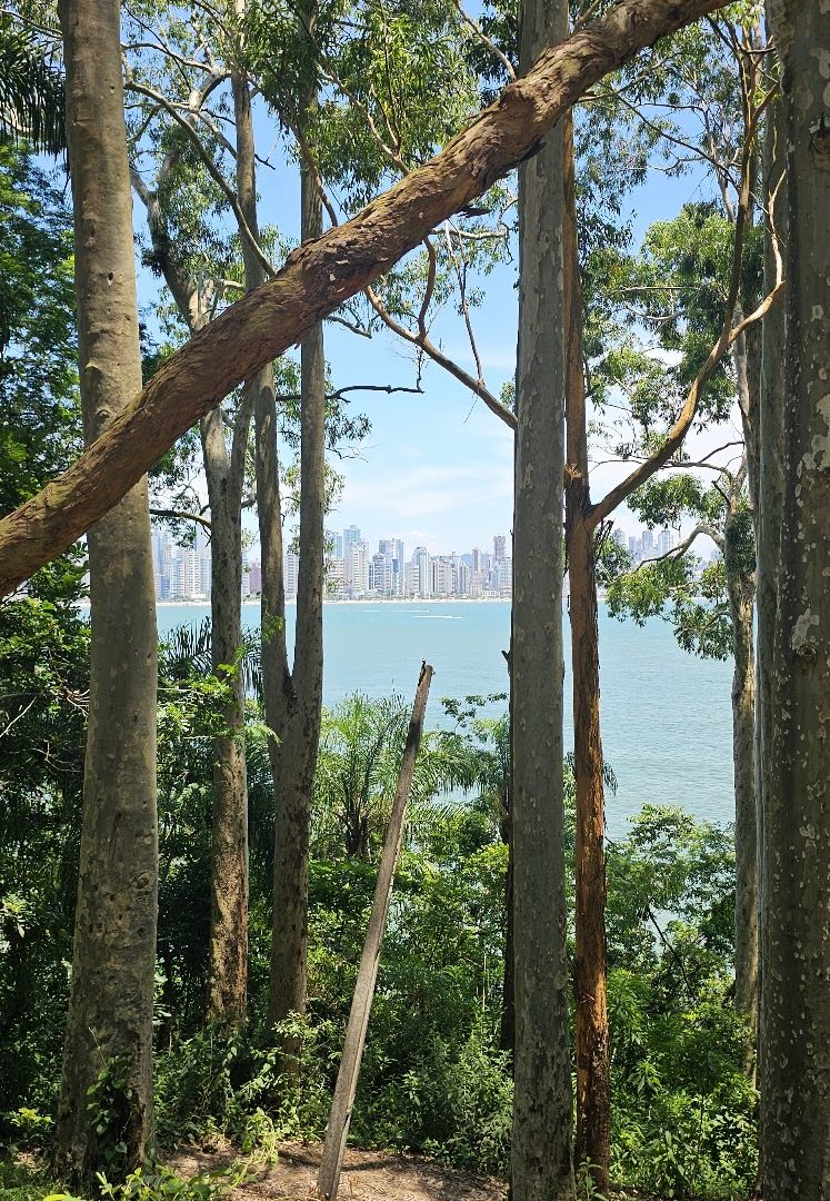 Foto real de Praia da Ladi