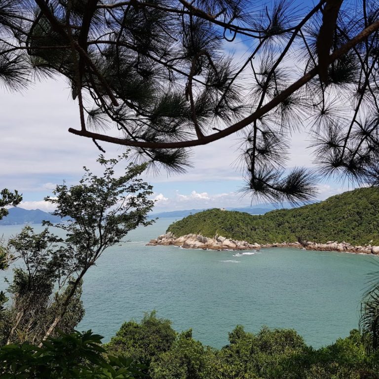 Foto real de Praia da Tainha
