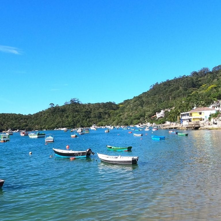 Foto real de Praia do Araçá