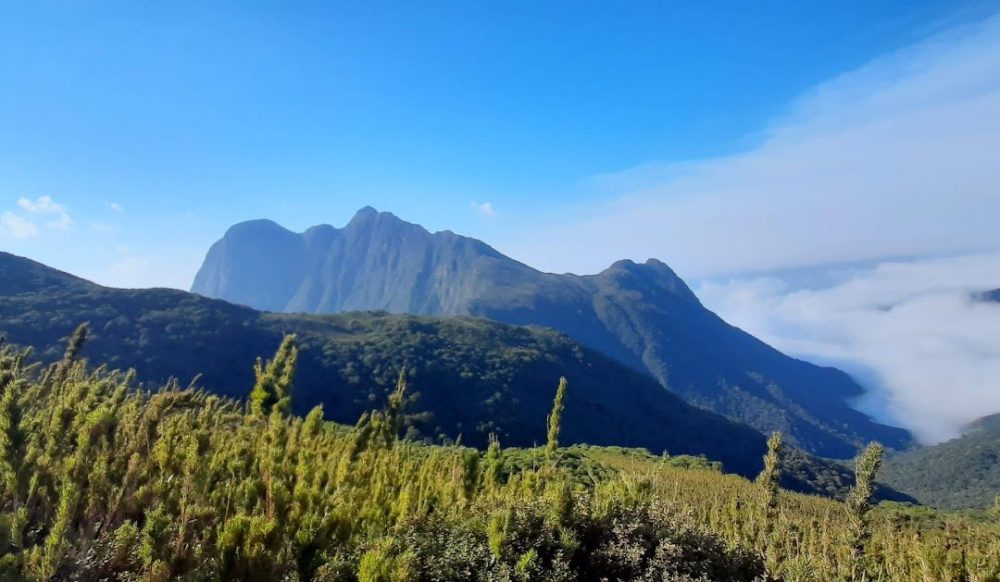 Foto real de Strong Mountain