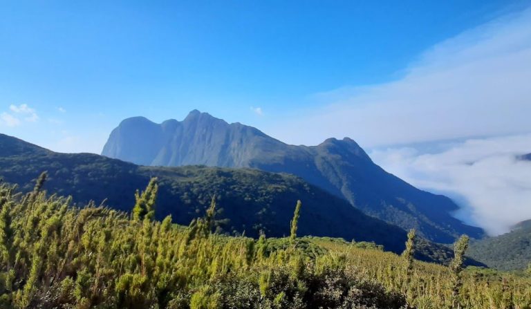 Strong Mountain