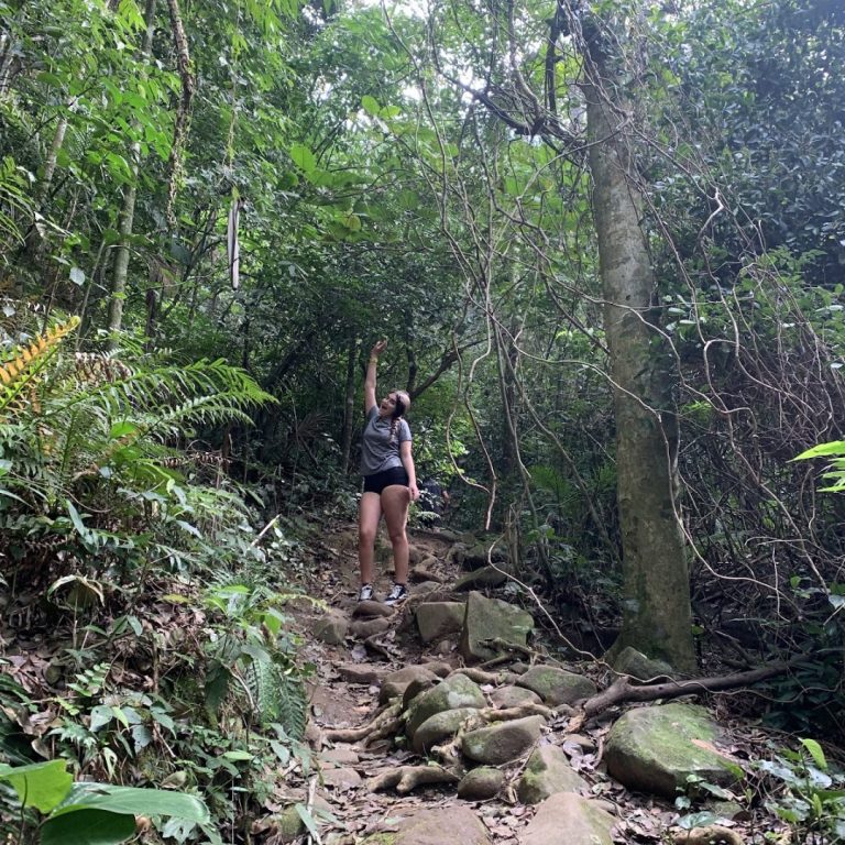 Foto real de Trilha Morro das Feiticeiras/ Morro da Cachoeira