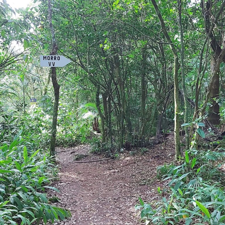 Trilha Morro das Feiticeiras