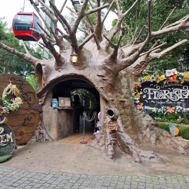 Foto real de Youhooo! Trenó de Montanha - Parque Unipraias