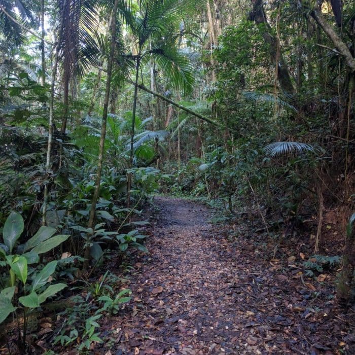 Foto real de Parque São Francisco de Assis
